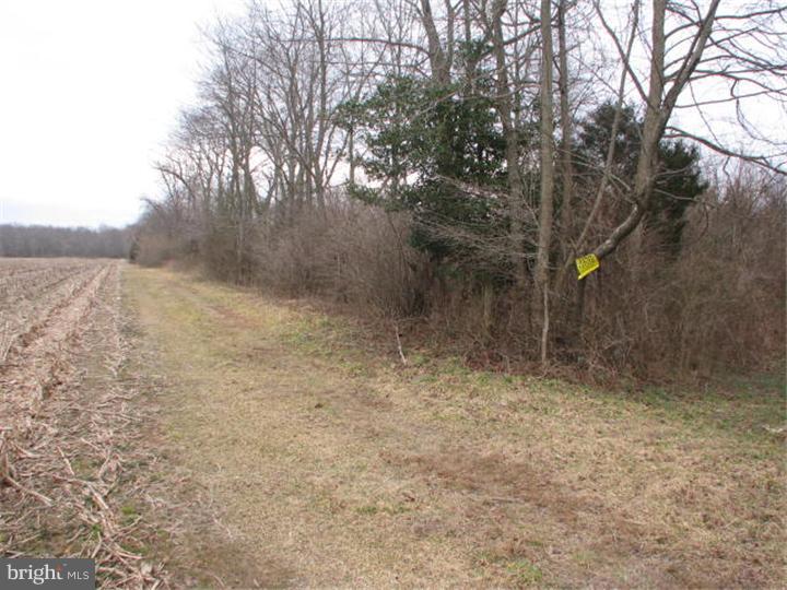L:5 L:5 Pointville Road Joint Base Mdl, NJ 08640 - Photo 8 of 8