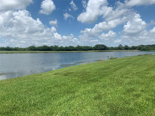 a view of a lake from a yard