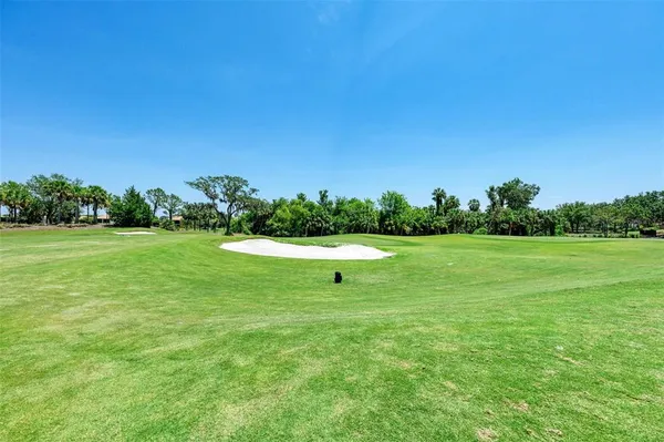 a view of a garden with lawn chairs