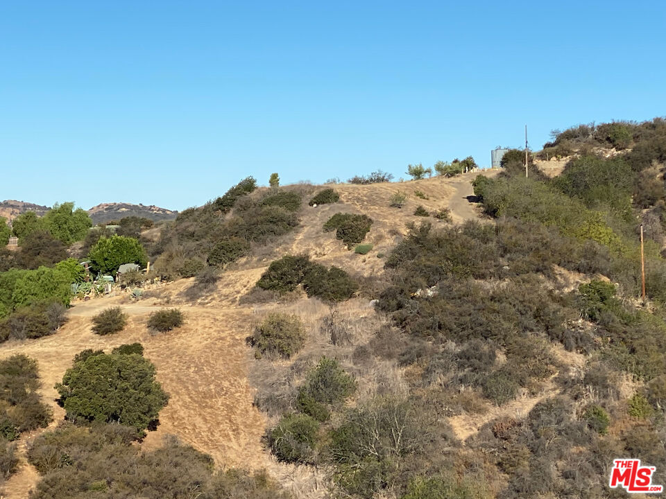 Henry Ridge Topanga, CA 90290 - Photo 12 of 21