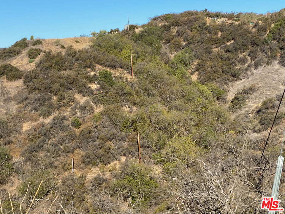 Henry Ridge Topanga, CA 90290 - Photo 13 of 21