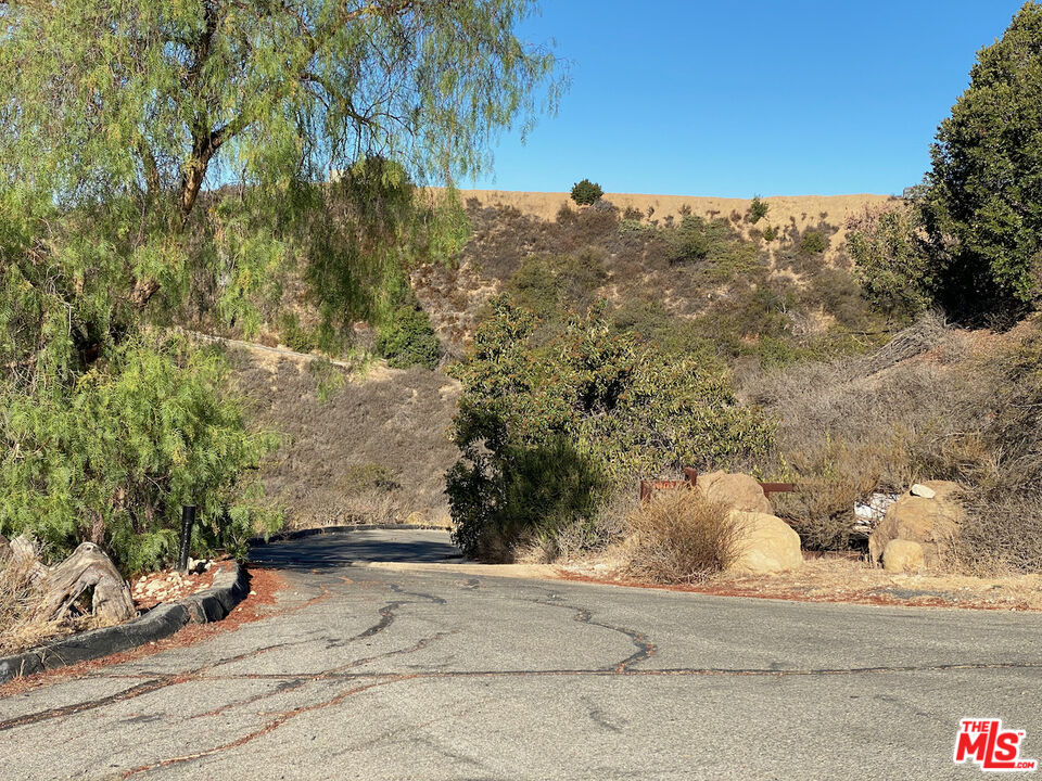 Henry Ridge Topanga, CA 90290 - Photo 15 of 21