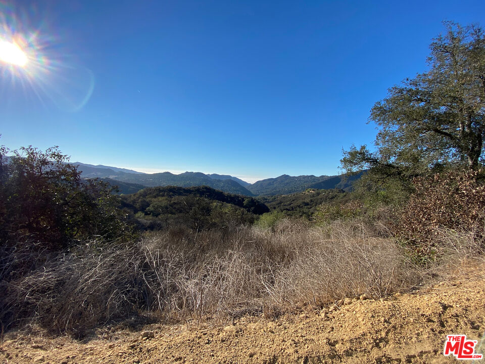 Henry Ridge Topanga, CA 90290 - Photo 6 of 21