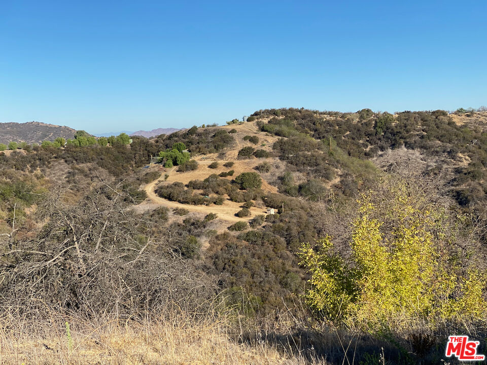 Henry Ridge Topanga, CA 90290 - Photo 7 of 21
