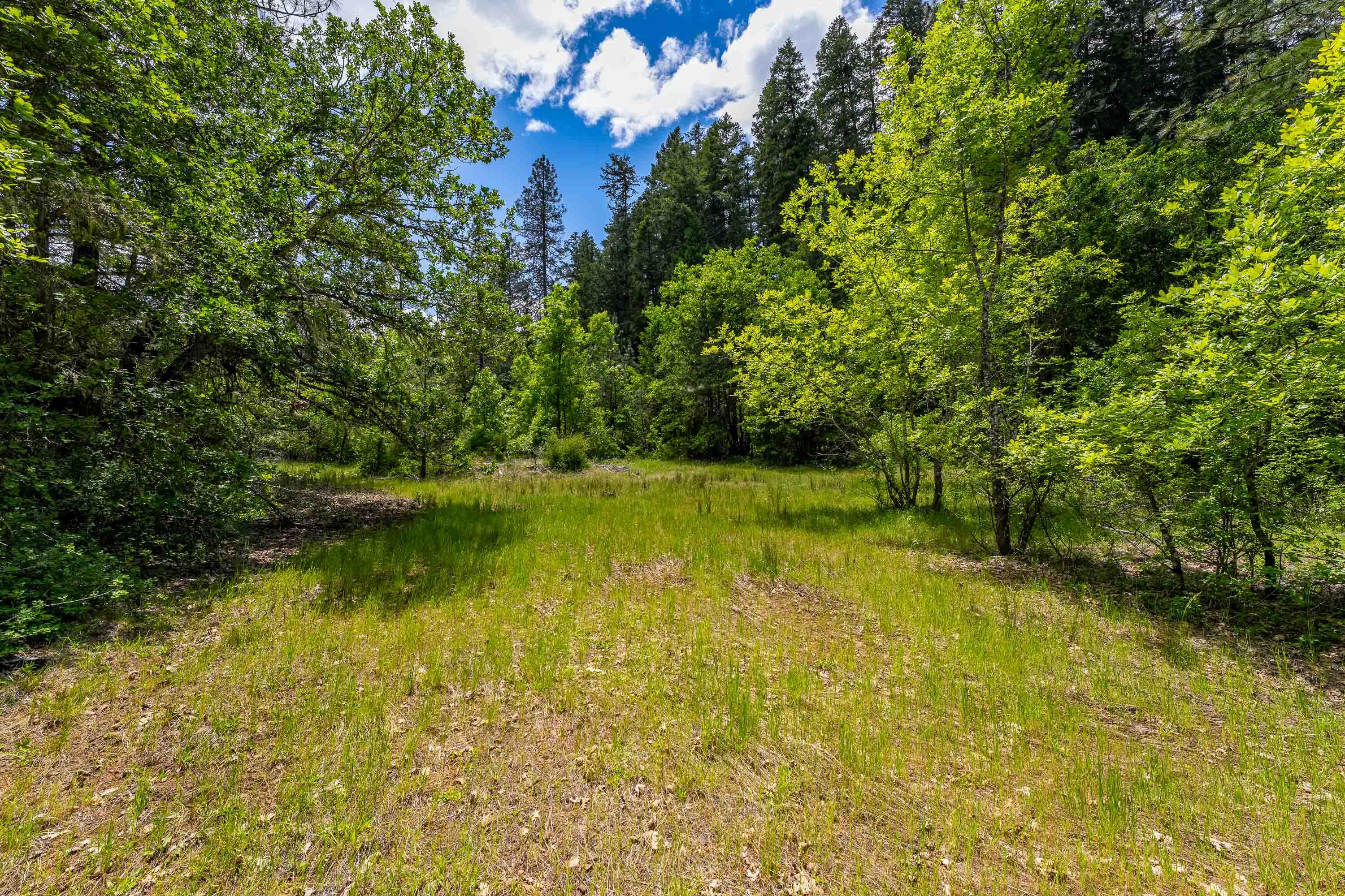 525 Sherier Road Cave Junction, OR 97523 - Photo 4 of 20 EXT (7 of 8)