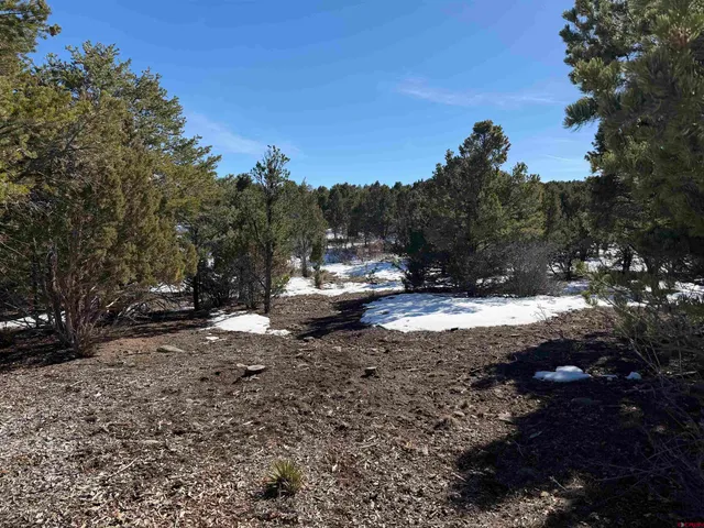 $399,000 | Tbd Pine Drive, Ridgway, CO 81432