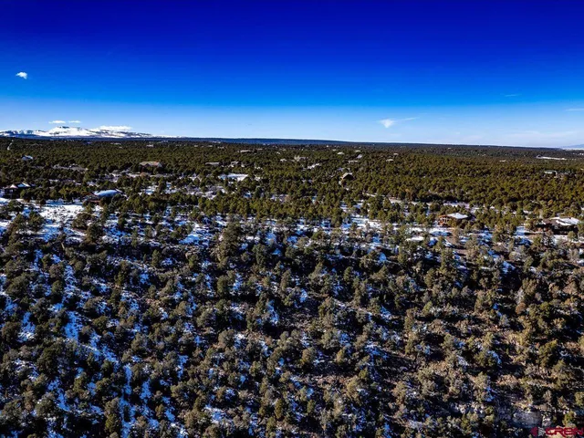 $399,000 | Tbd Pine Drive, Ridgway, CO 81432