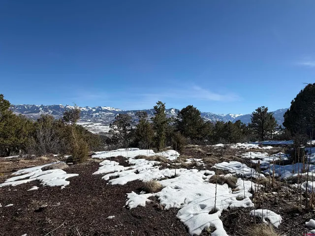 $399,000 | Tbd Pine Drive, Ridgway, CO 81432