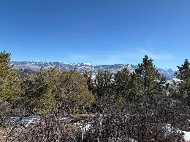 $399,000 | Tbd Pine Drive, Ridgway, CO 81432