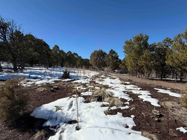 $399,000 | Tbd Pine Drive, Ridgway, CO 81432