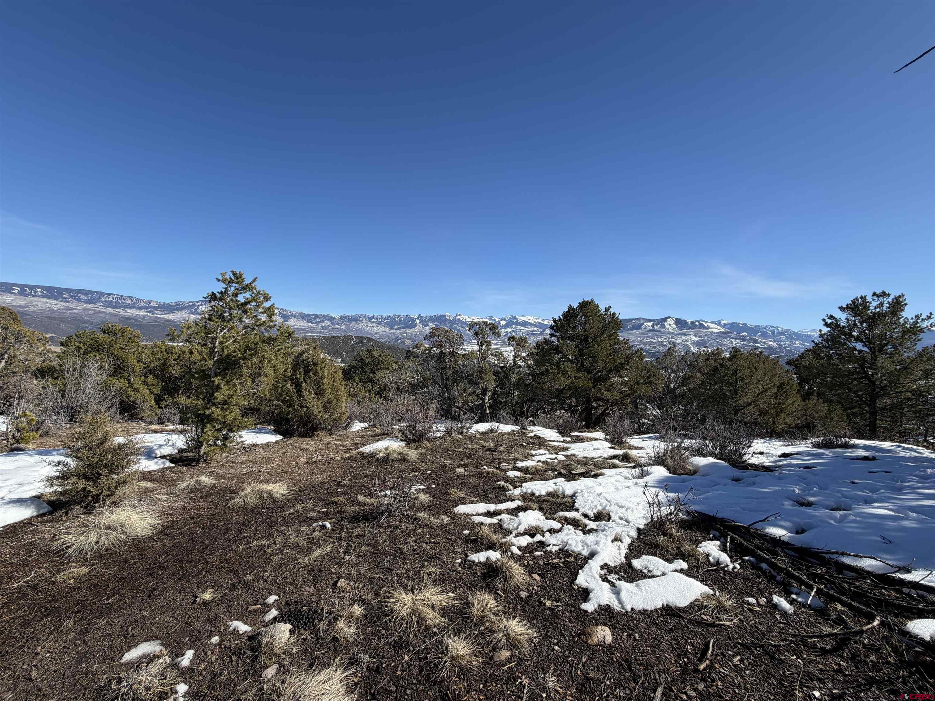 Tbd Pine Drive Ridgway, CO 81432 - Photo 25 of 26