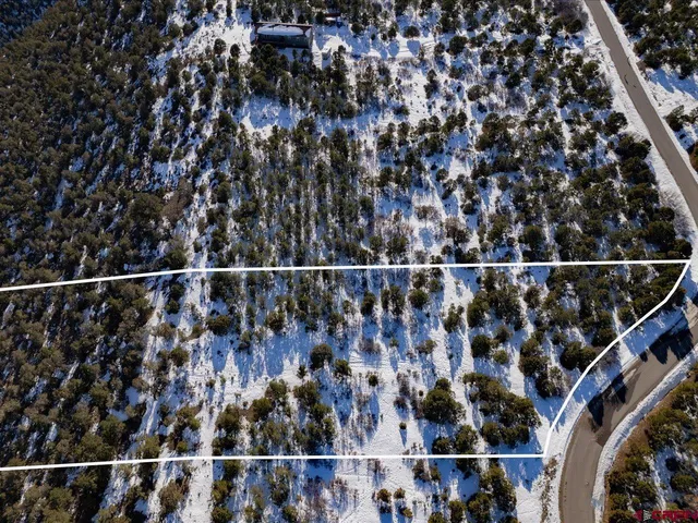 a view of a town with trees in the background