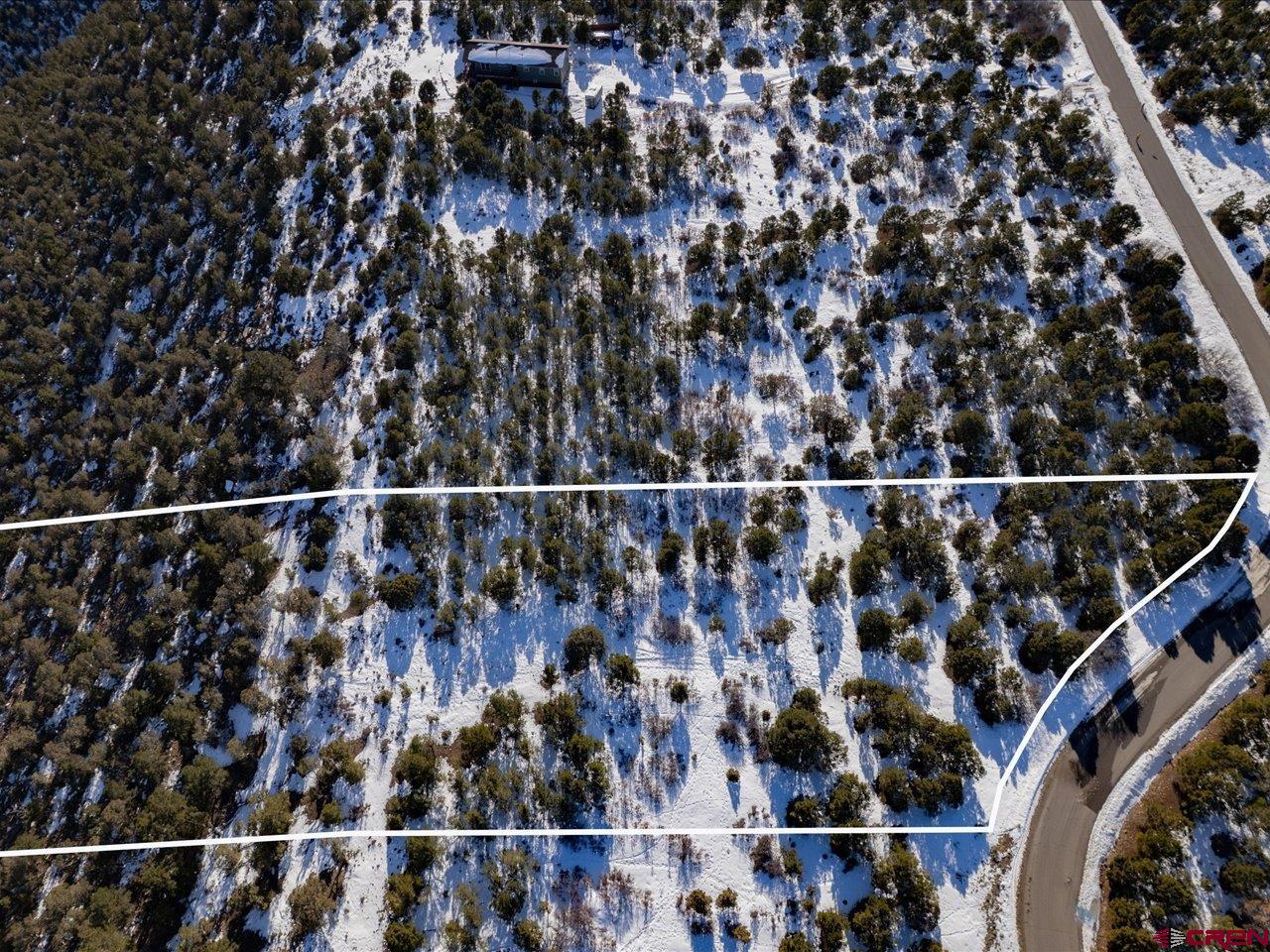 Tbd Pine Drive Ridgway, CO 81432 - Photo 9 of 26