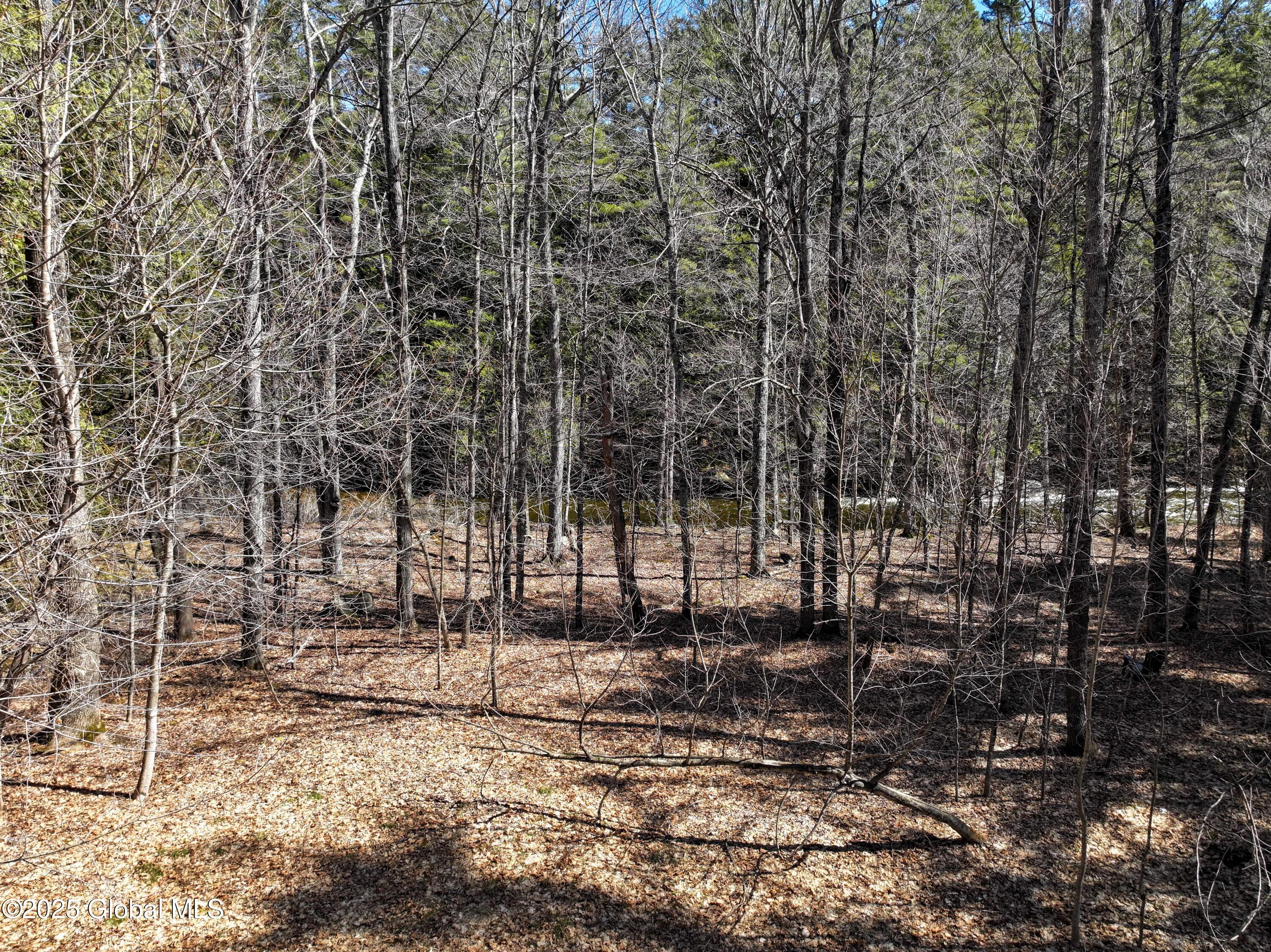 1794 Highway 73 Keene, NY 12943 - Photo 72 of 82 DJI_20250401130603_0037_D-2