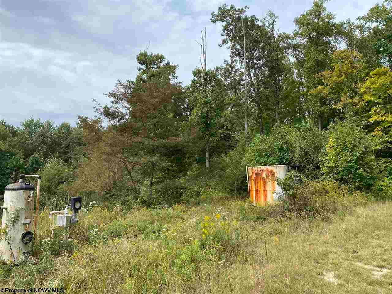 Tbd Helens Run Road Worthington, WV 26591 - Photo 9 of 18 Gallery Image 9