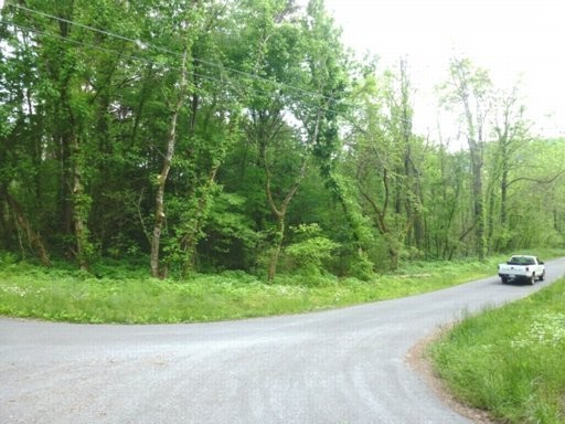 123 Ernie Roberts Road Rutledge, TN 37861 - Photo 15 of 32 Gallery Image 15