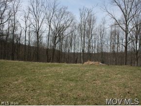 0 Oil Ridge Road Harrisville, WV 26362 - Photo 3 of 10