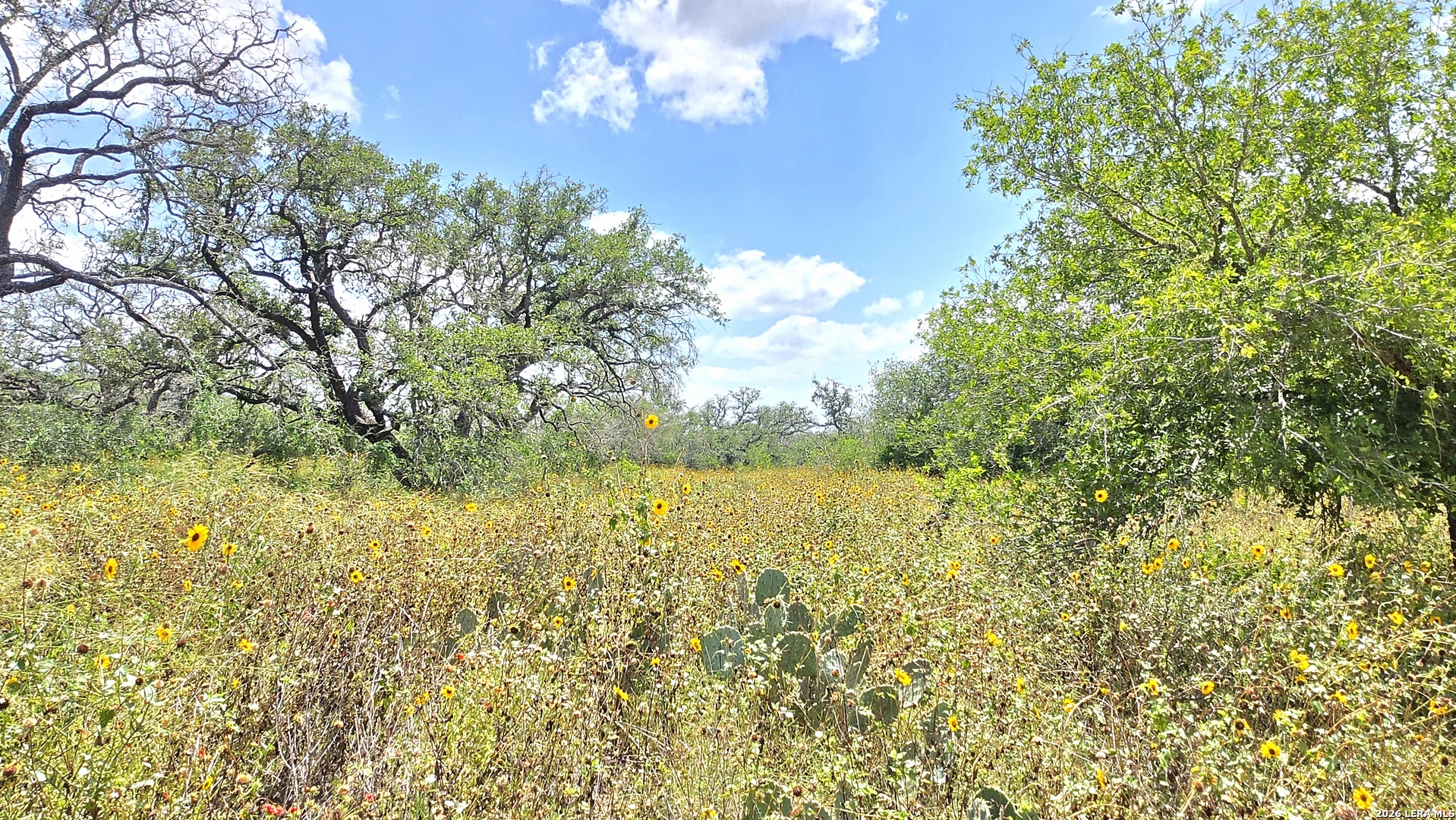 289 Zigmond Road Poteet, TX 78065 - Photo 15 of 37
