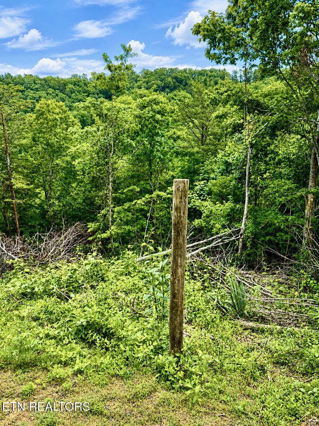 1798 Seagle Hollow Road Sevierville, TN 37876 - Photo 17 of 25 1-17