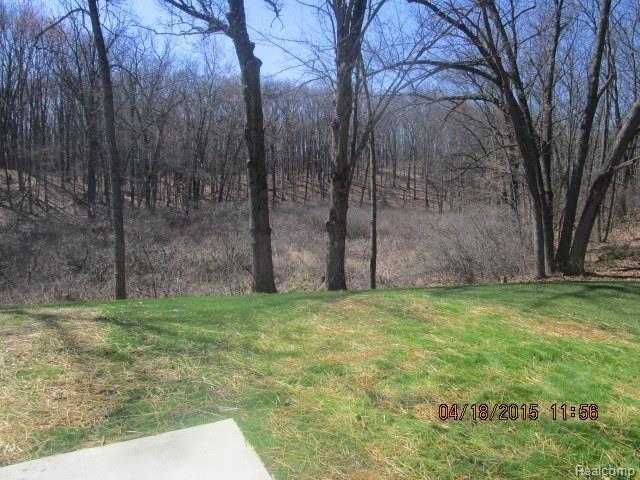 7624 Little Ridge Drive Pinckney, MI 48169 - Photo 20 of 29