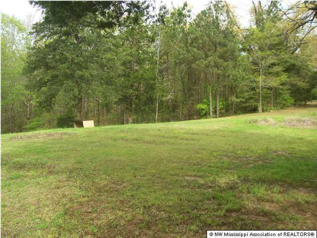569 Christian College Road Senatobia, MS 38668 - Photo 2 of 22 Additional Photo