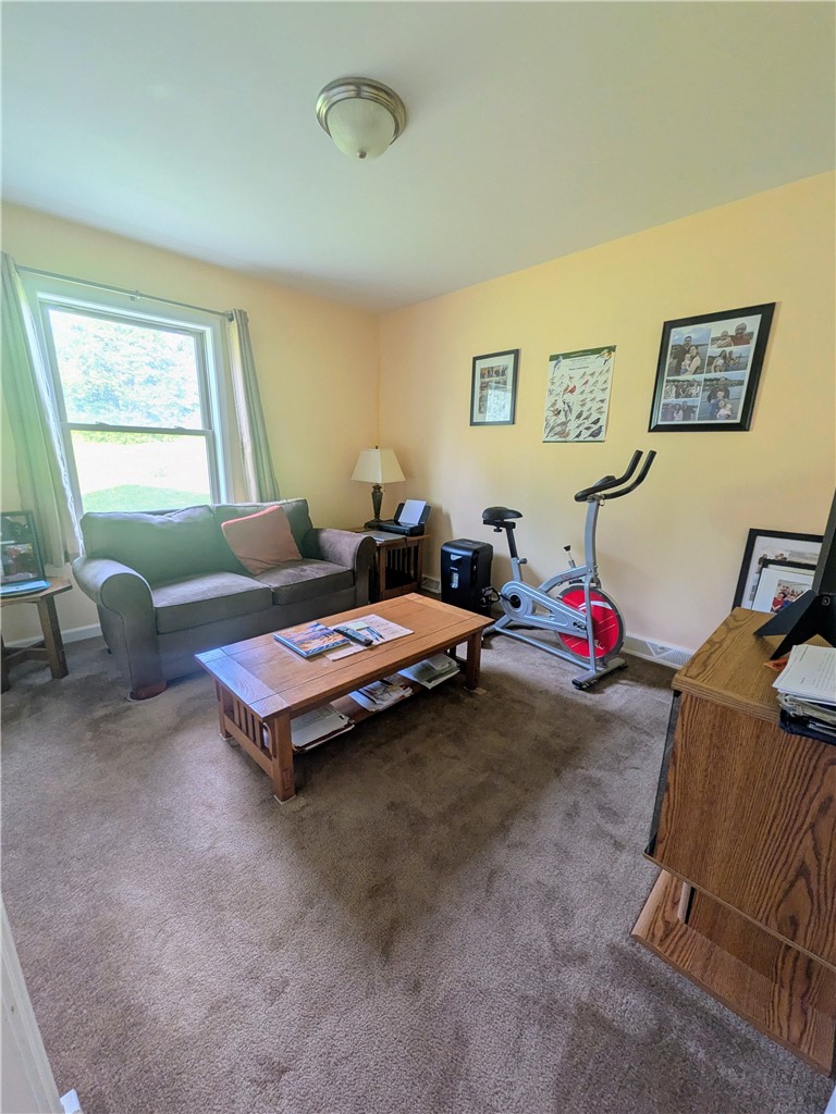 168 Burch Hill Road Veteran, NY 14864 - Photo 27 of 34