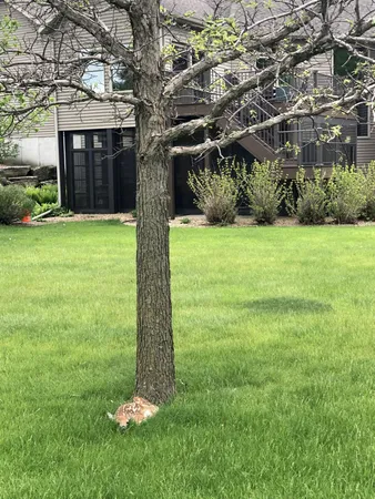 $825,000 | 7005 Halifax Lane Northwest, Rochester, MN 55901