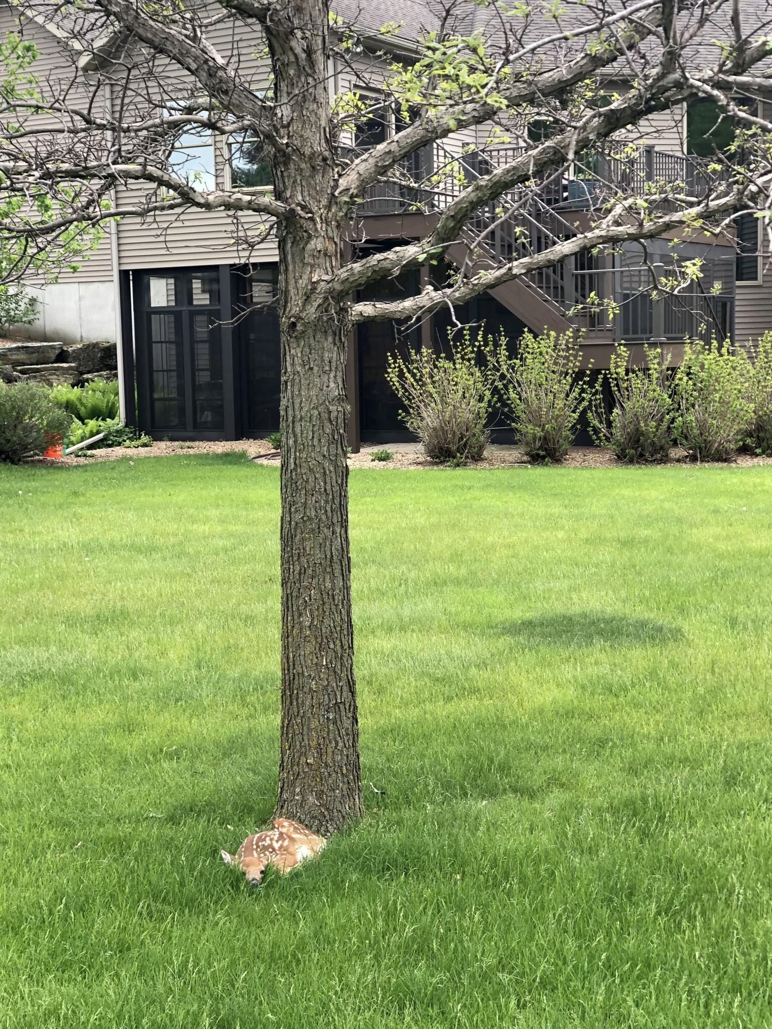 7005 Halifax Lane Northwest Rochester, MN 55901 - Photo 62 of 74