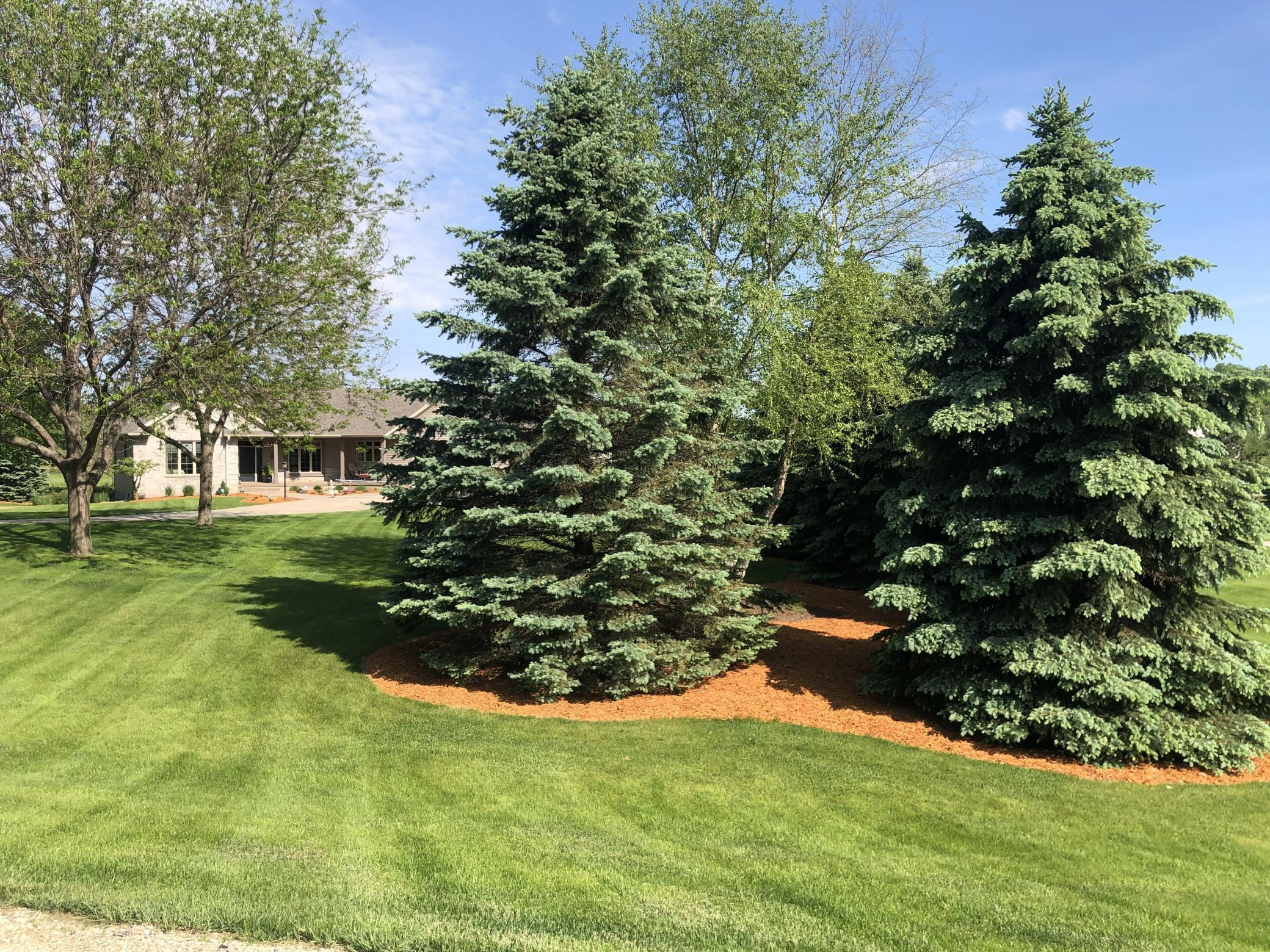 7005 Halifax Lane Northwest Rochester, MN 55901 - Photo 65 of 74