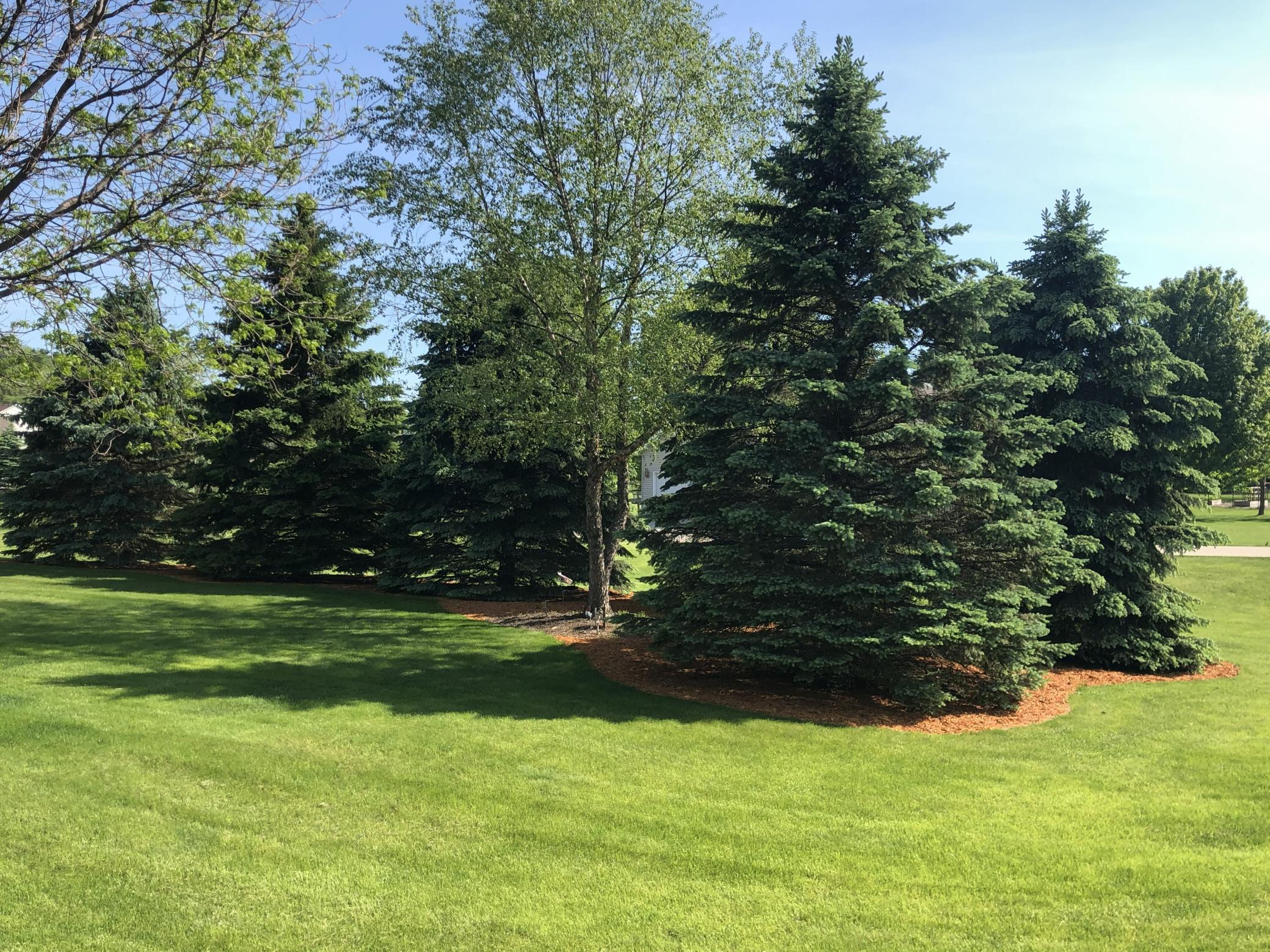 7005 Halifax Lane Northwest Rochester, MN 55901 - Photo 66 of 74