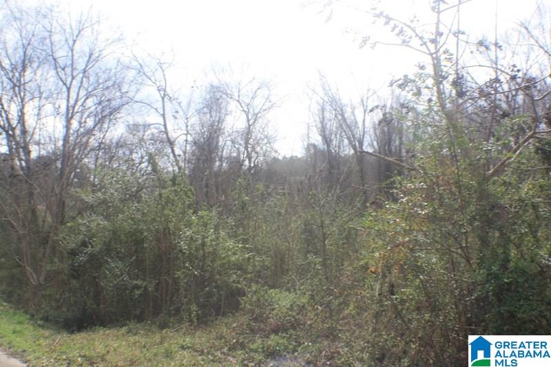 Old Choccolocco Road, Unit 97 Weaver, AL 36277 - Photo 7 of 27