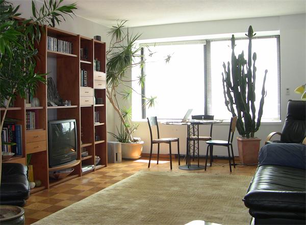 85 East India Row, Unit 25D Boston, MA 02110 - Photo 2 of 8 a living room with furniture a flat screen tv and a floor to ceiling window