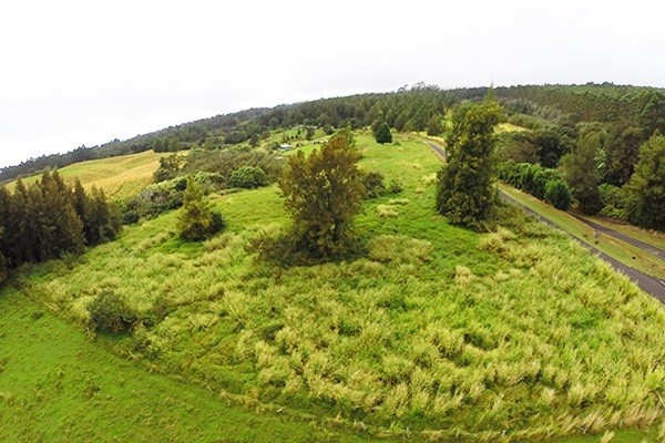 Homestead Road Ookala, HI 96774 - Photo 1 of 10 a view of a forest with an ocean