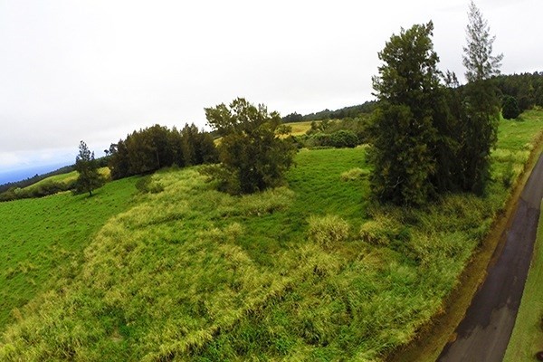 Homestead Road Ookala, HI 96774 - Photo 2 of 10 a view of a lush green space