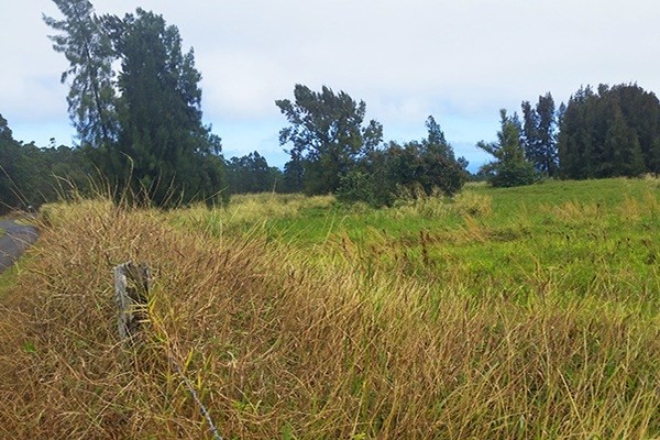 Homestead Road Ookala, HI 96774 - Photo 3 of 10 a view of lake with green space