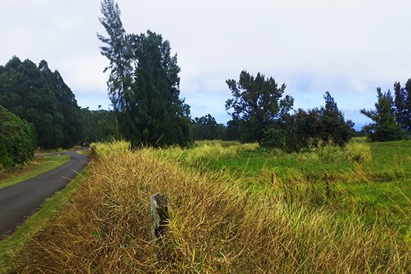 Homestead Road Ookala, HI 96774 - Photo 8 of 10