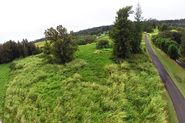 Homestead Road Ookala, HI 96774 - Photo 10 of 10 a view of a lush green forest