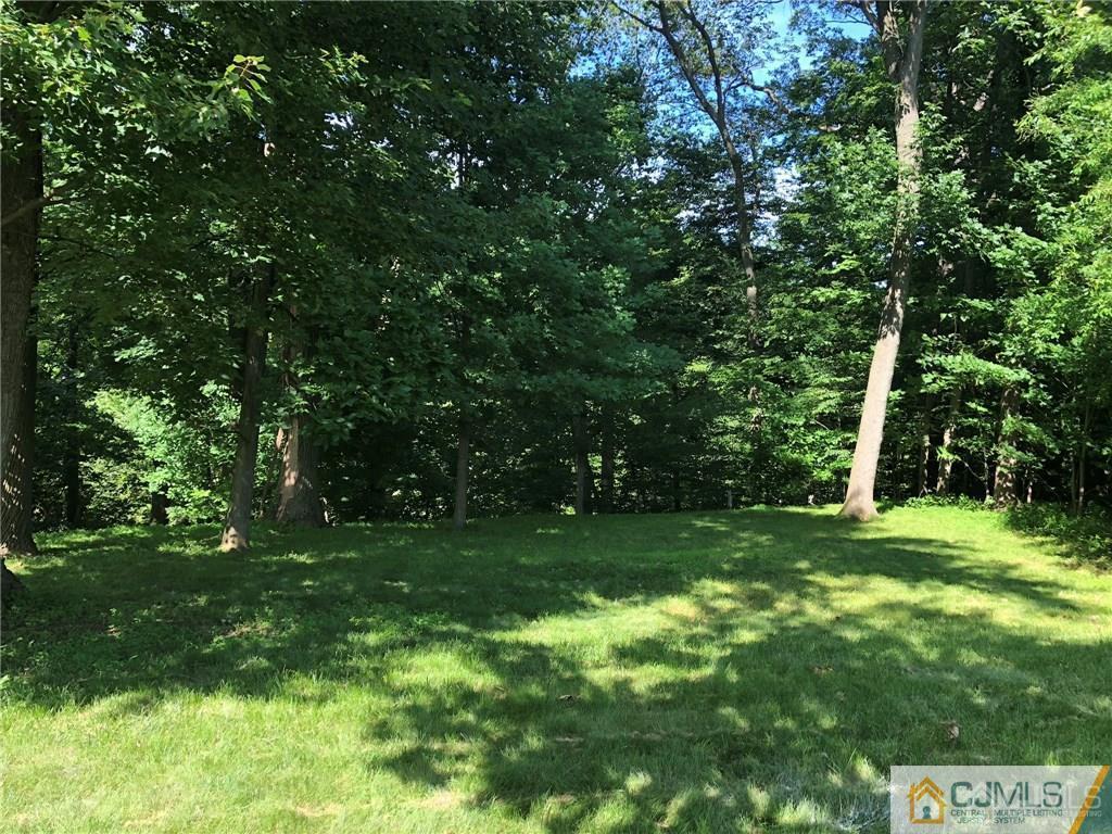 9 Edgewood Road Old Bridge, NJ 07747 - Photo 35 of 35 a grassy field with trees in the background