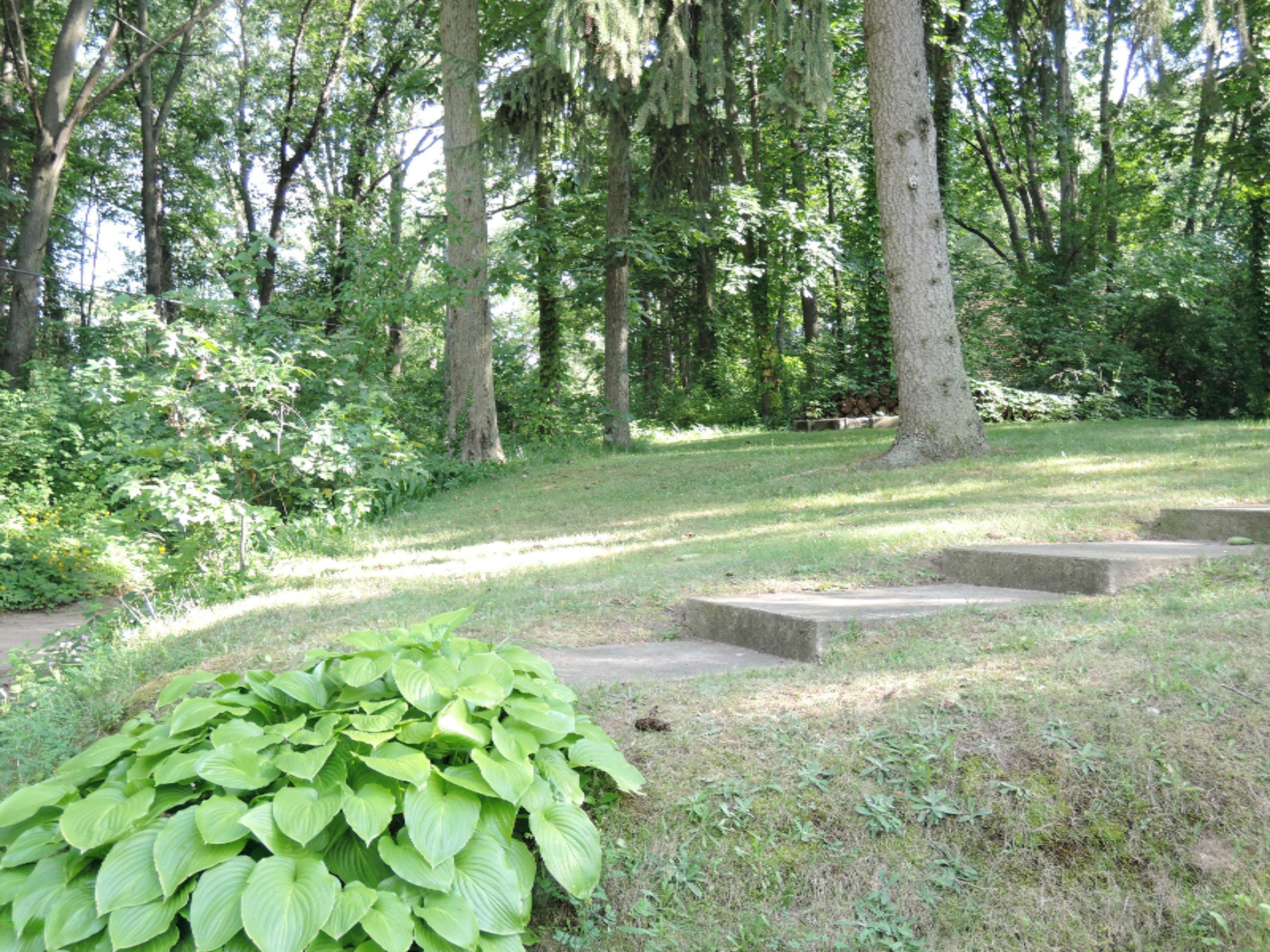 52100 Snug Harbor Lane Three Rivers, MI 49093 - Photo 25 of 47 52100 Snug Harbor Lane