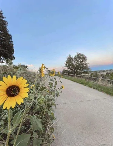 a view of a lake with a mountain in the background