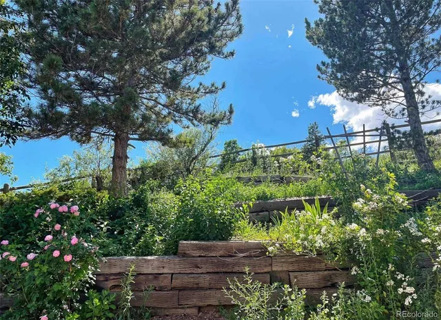 a view of a yard with plants and large trees