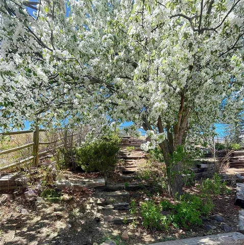 a view of outdoor space and yard