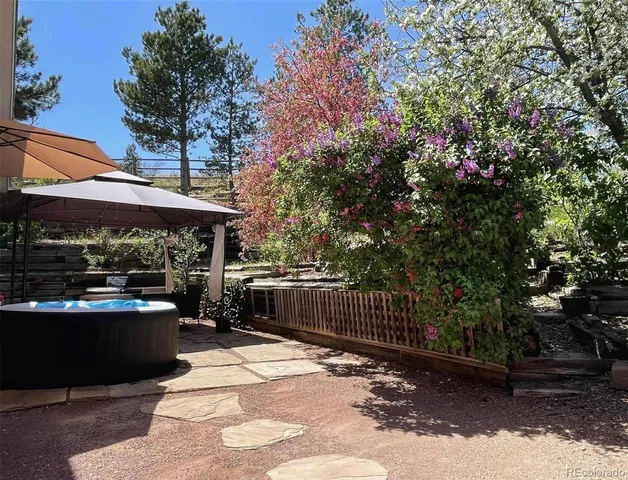 a view of a flower in a garden