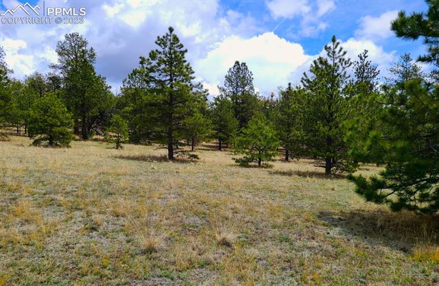 1095 Piney Road Guffey, CO 80820 - Photo 3 of 6
