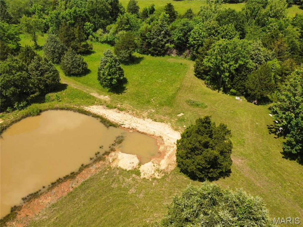 10375 Cedar Lane Dixon, MO 65459 - Photo 5 of 88