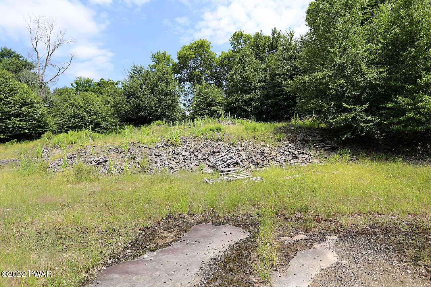 0 Minckler Mountain Road Damascus, PA 18415 - Photo 25 of 43