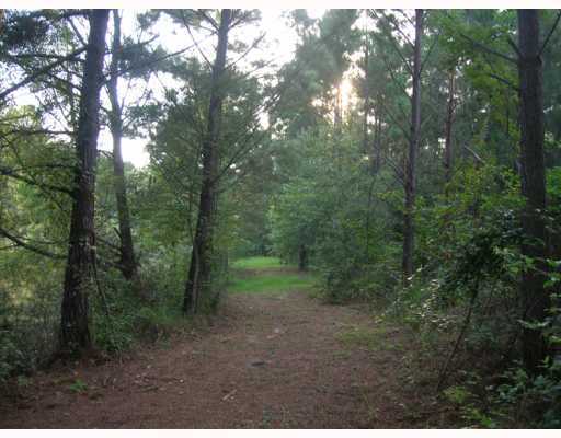 6 6ac Highway Moss Point, MS 39562 - Photo 5 of 8 Additional Photo