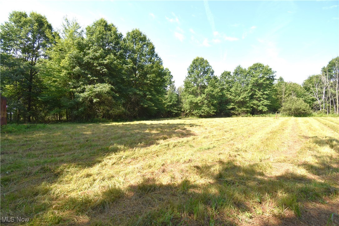 0 Warren - Sharon Road Masury, OH 44438 - Photo 4 of 10
