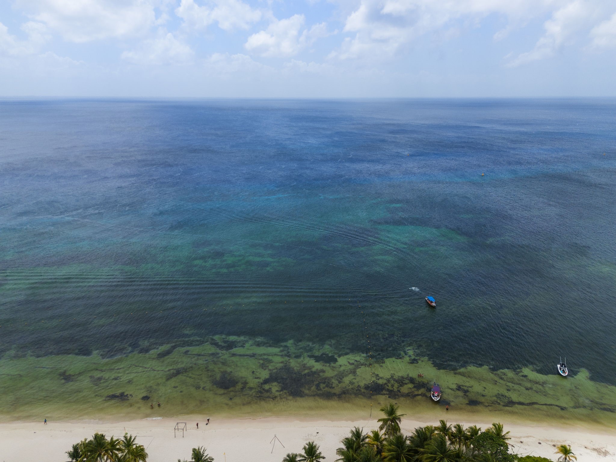 6 Country Club, Unit 4 Nome, TX 77629 - Photo 36 of 45 The mesmerizing gradient of Cozumel’s world-renowned turquoise waters rolling onto a pristine, palm-fringed white sand beach.