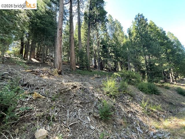 34 Snow Bowl Road Long Barn, CA 95335 - Photo 10 of 14 Gallery Image 10